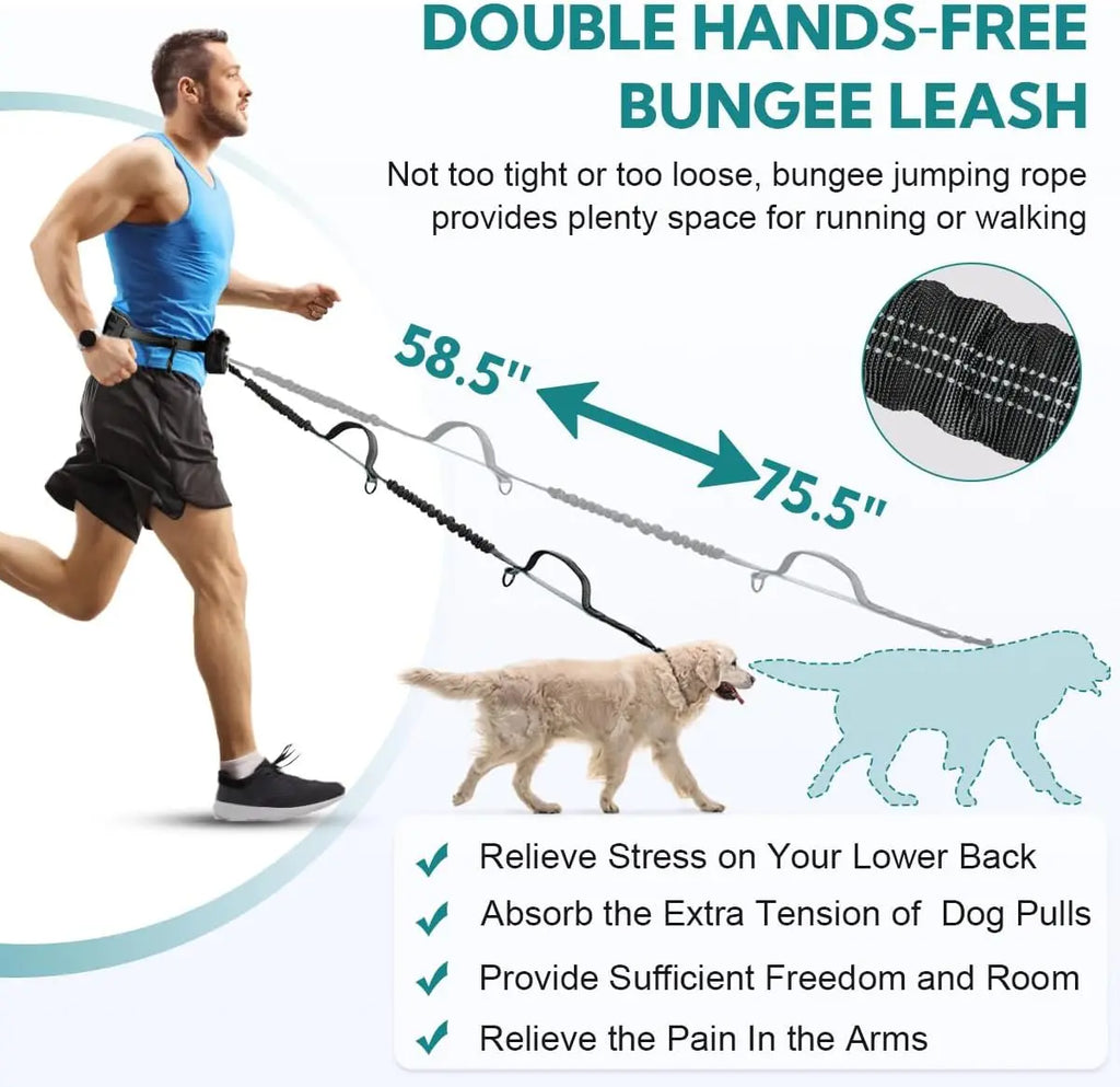 Hands Free Dog Leash with Pouch, Double Leash for Two Dogs, Retractable Bungee with Double Padded Handles, Dog Harness