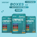 YESNAP Lymphatic Drainage Support – 12-In-1 Herbal Blend-3 Pack Bundle