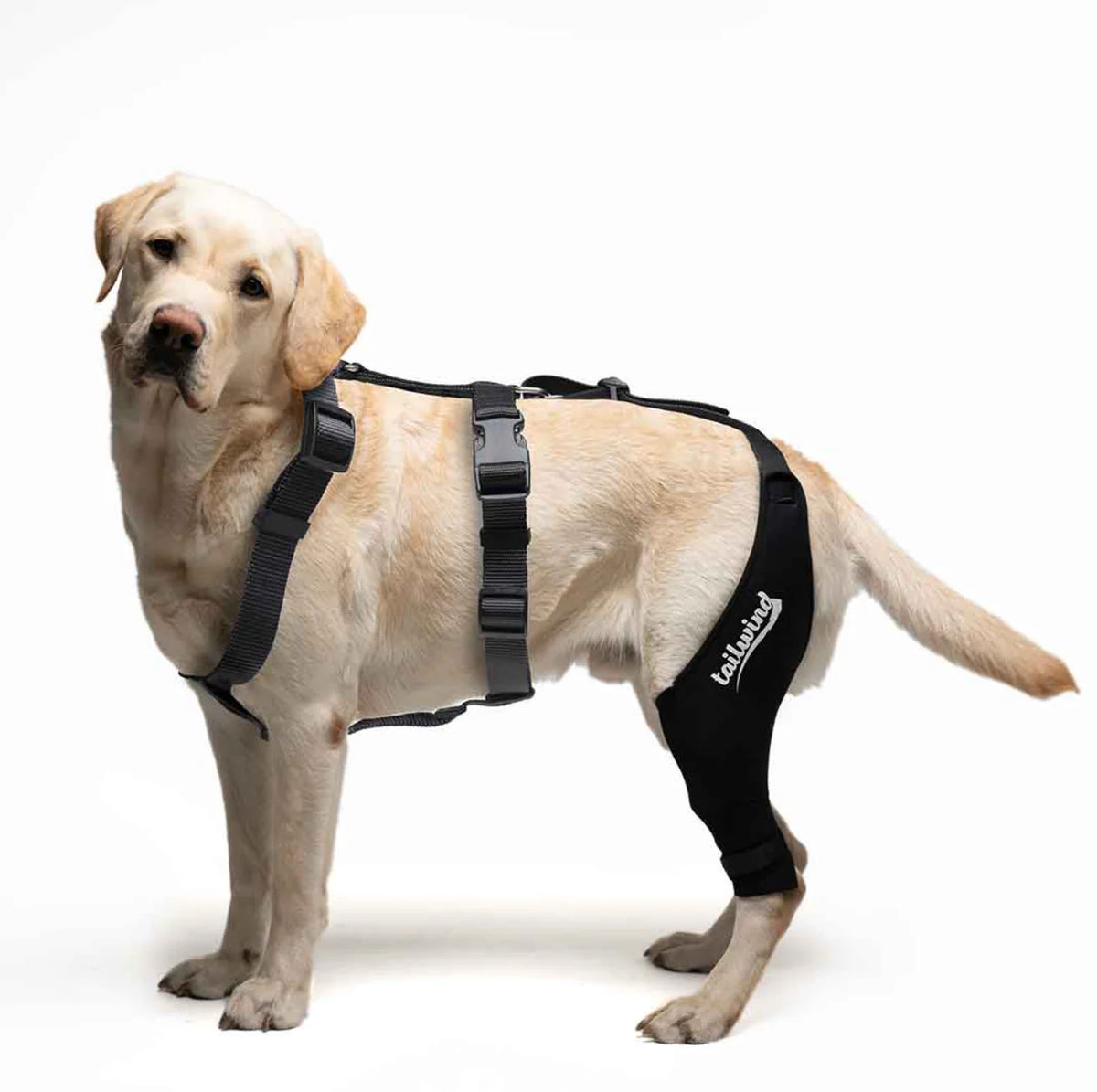 Revolutionary Double Knee Brace for Dogs - Ultimate Cruciate Support & Pain Relief