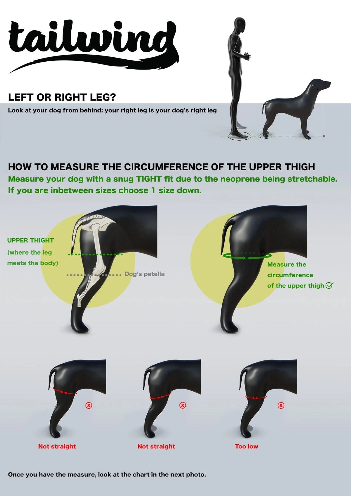 Revolutionary Double Knee Brace for Dogs - Ultimate Cruciate Support & Pain Relief