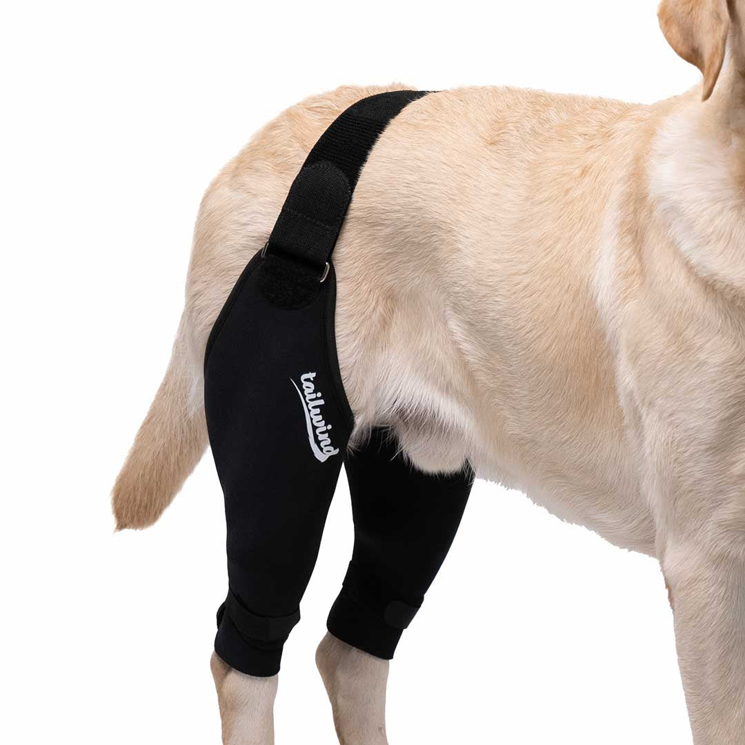 Revolutionary Double Knee Brace for Dogs - Ultimate Cruciate Support & Pain Relief